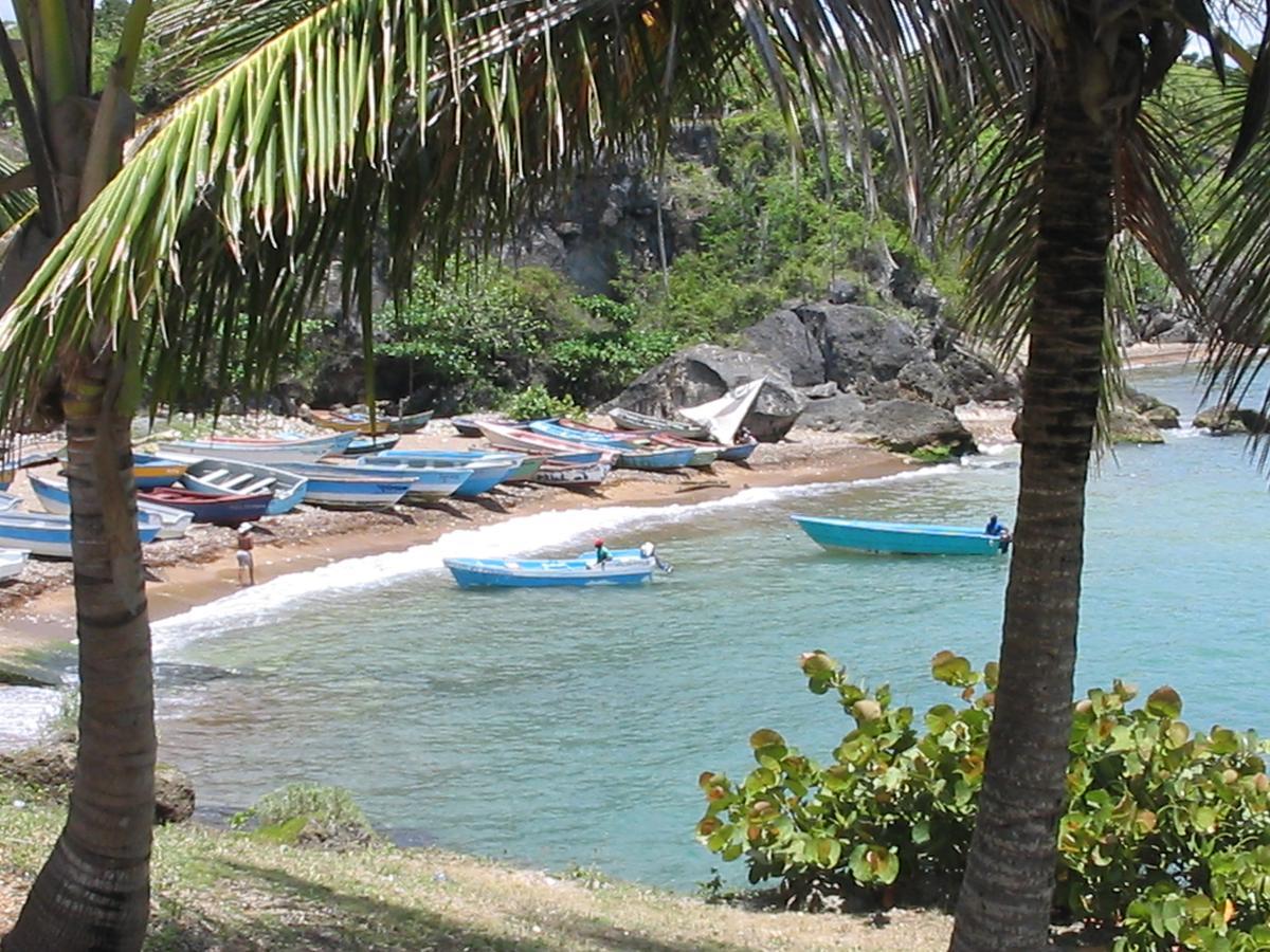 Hotel El Viejo Pirata Boca de Yuma Eksteriør billede
